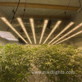 Best UV Led Grow Light For 4X4 Tent